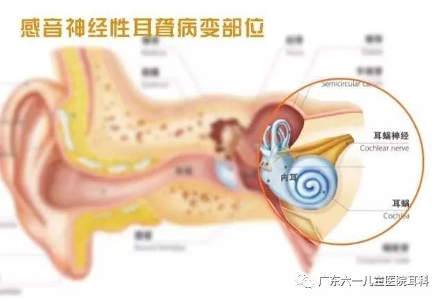 1652232431951155.jpg 微信图片_20220511092654.jpg
